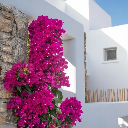Bed & Breakfast The Summit Of Mykonos 4*