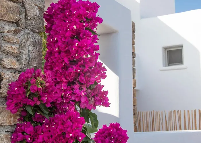 Couette-café The Summit Of Mykonos 4*